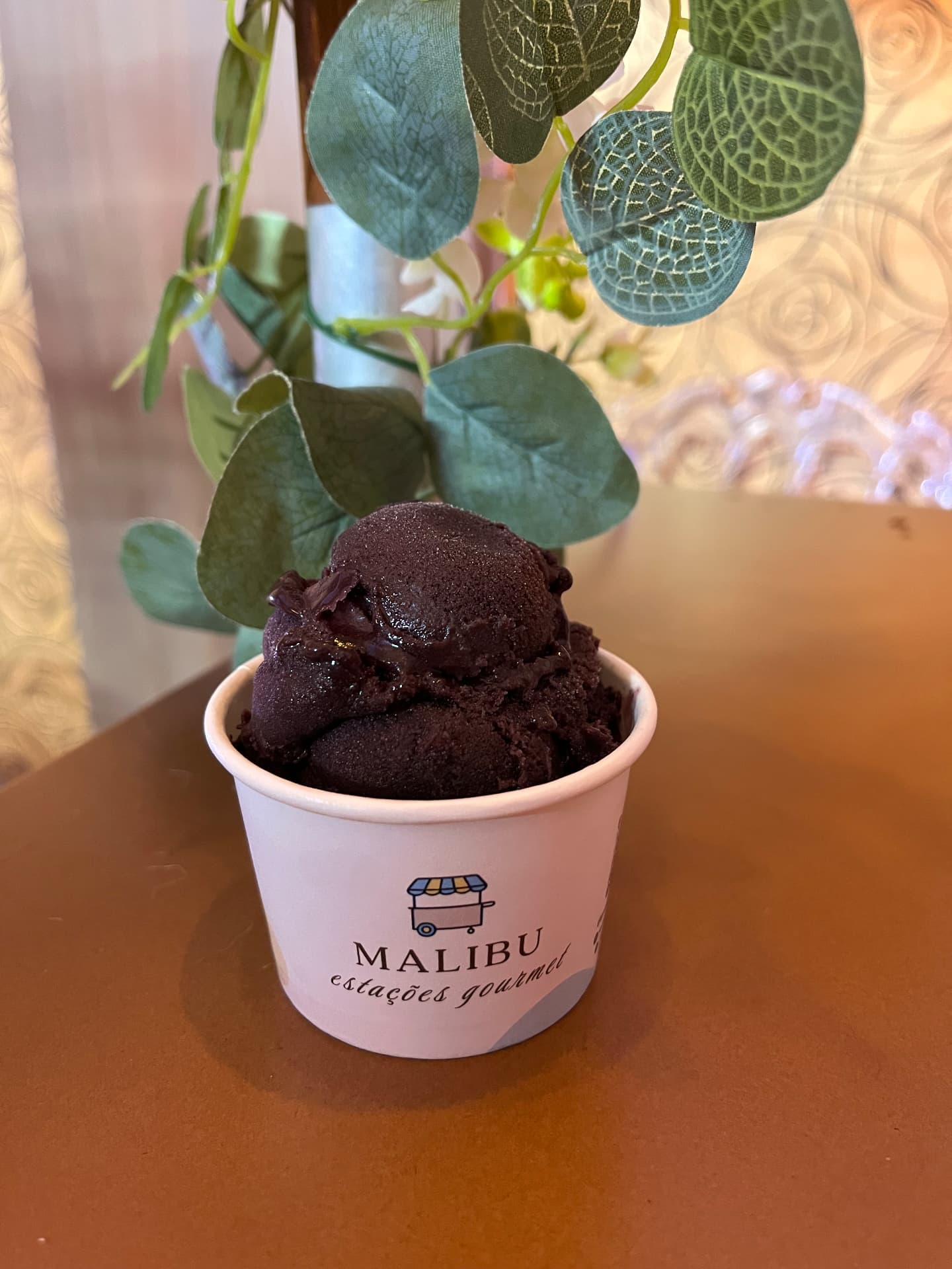 Copo de açaí servido em embalagem da Malibu Estações Gourmet